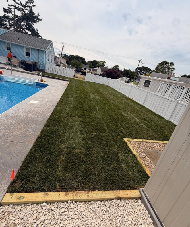 Fresh green sod lawn installed beside the new pool deck