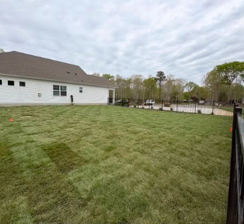 Large freshly installed sod lawn in a Cape May County backyard