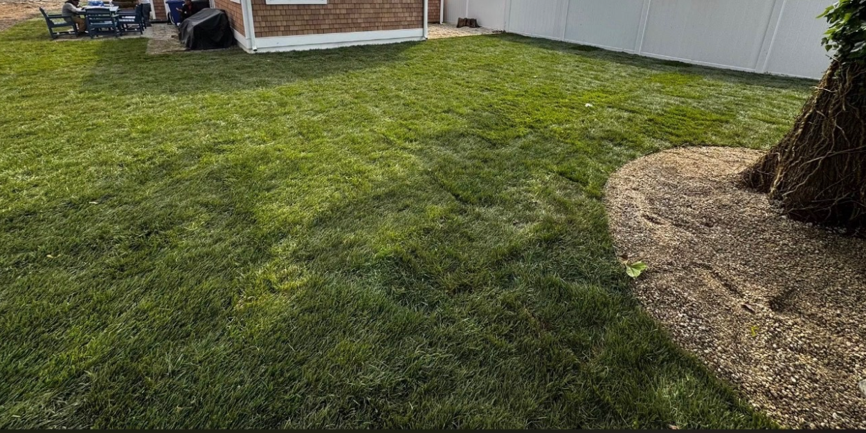 Fresh new sod lawn in a large fenced backyard with paver tree ring