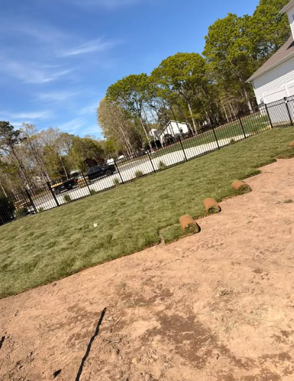 Fresh sod rolls being installed over prepared soil
