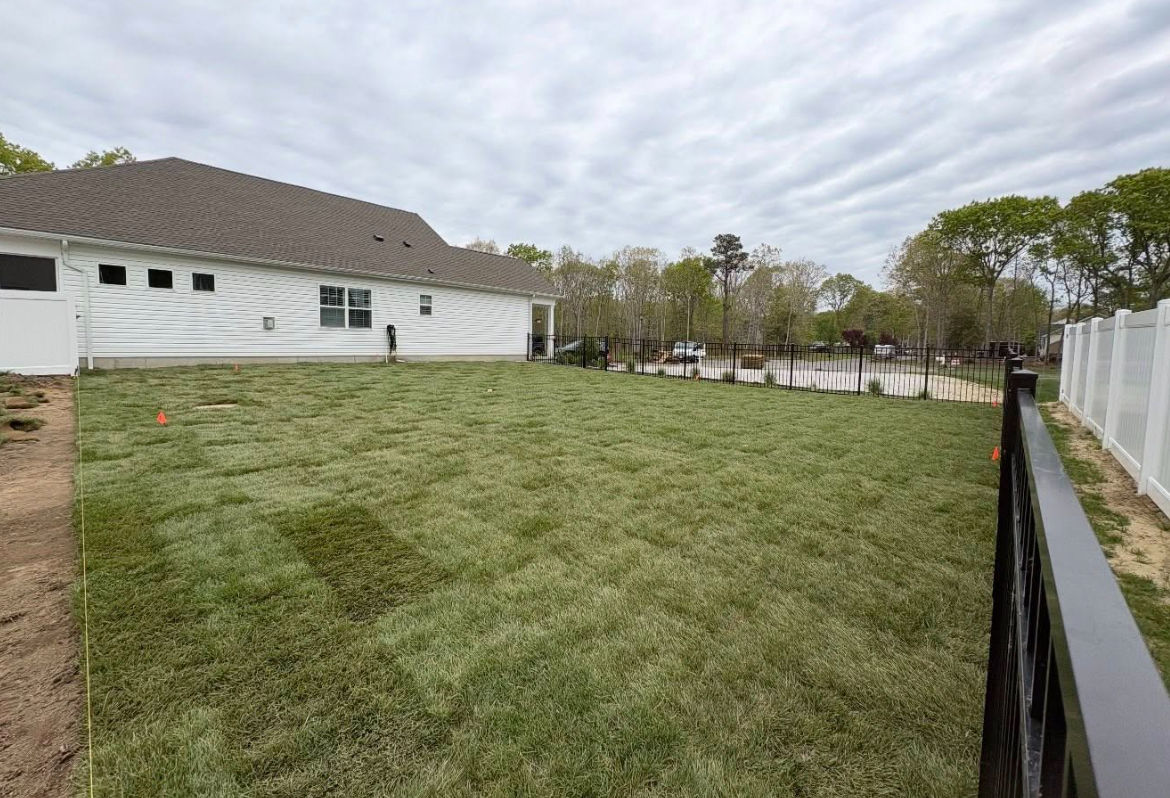 Complete backyard sod installation with professional finish