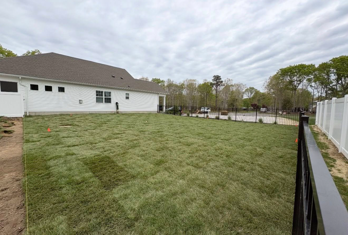 Large residential backyard sod installation